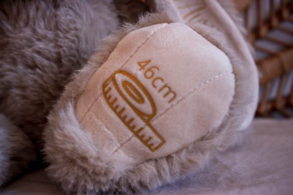 Lapin de naissance personnalisé