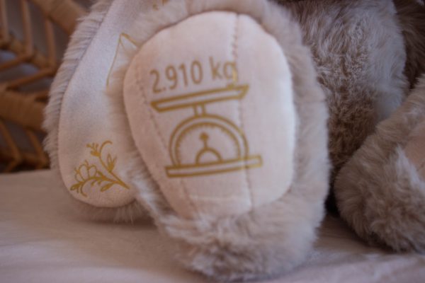 Lapin de naissance personnalisé